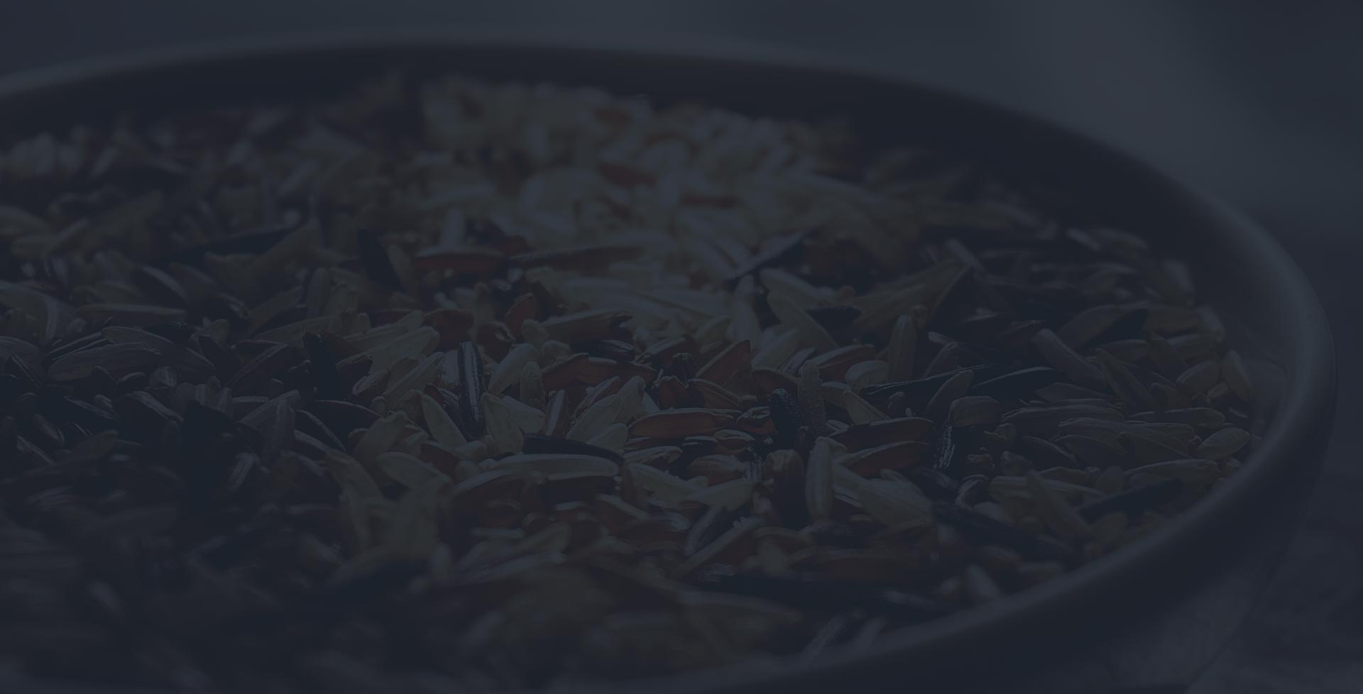 rice mill software rice mill software
