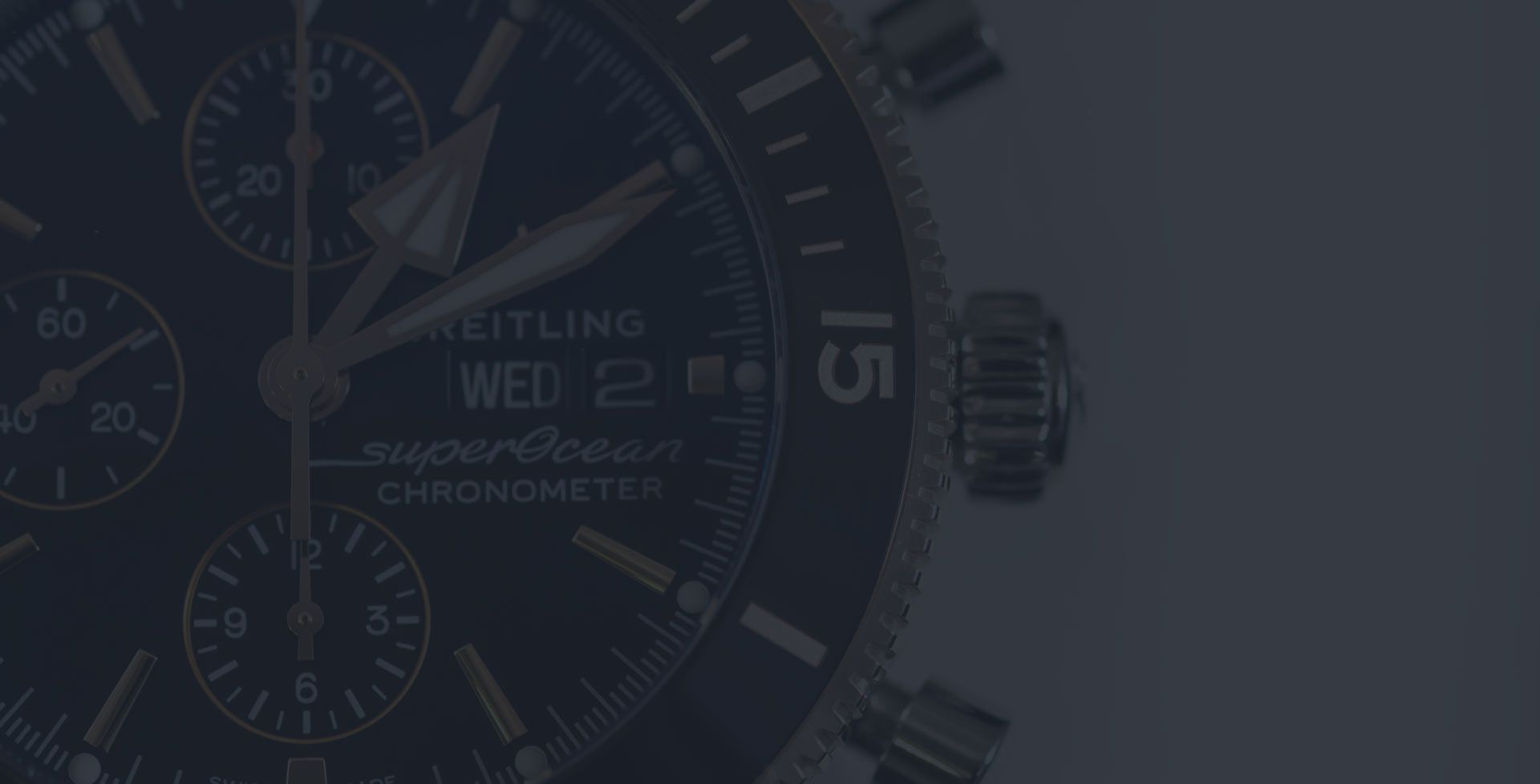 Watch shop software Watch shop software